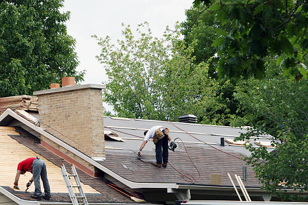 Best Roofing Contractor Near Me  in Vernon, WI