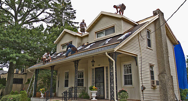 Best Storm Damage Roof Repair  in Vernon, WI