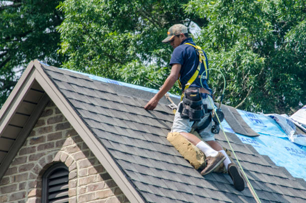 Best Roof Restoration Services  in Vernon, WI