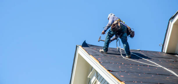 Best Roof Maintenance Services  in Vernon, WI